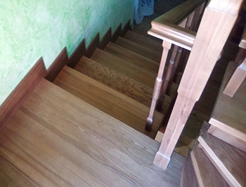kedr-kanadskiy-4
