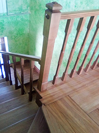 kedr-kanadskiy-5